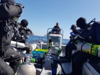 55632774_146391859729413_9011612900573315072_o 55632774_146391859729413_9011612900573315072_o